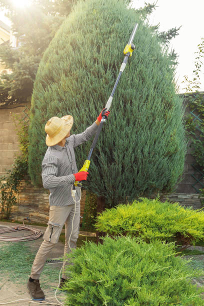 Best Utility Line Clearance  in East Troy, WI